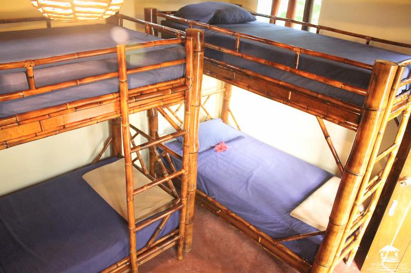 Troncones Point Hostel photo 3