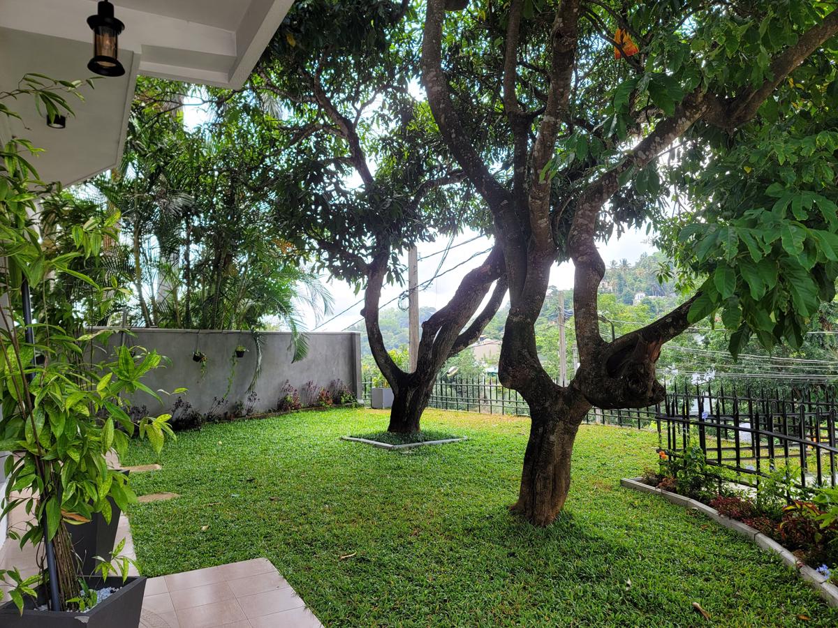 Tribe Hostel photo 2