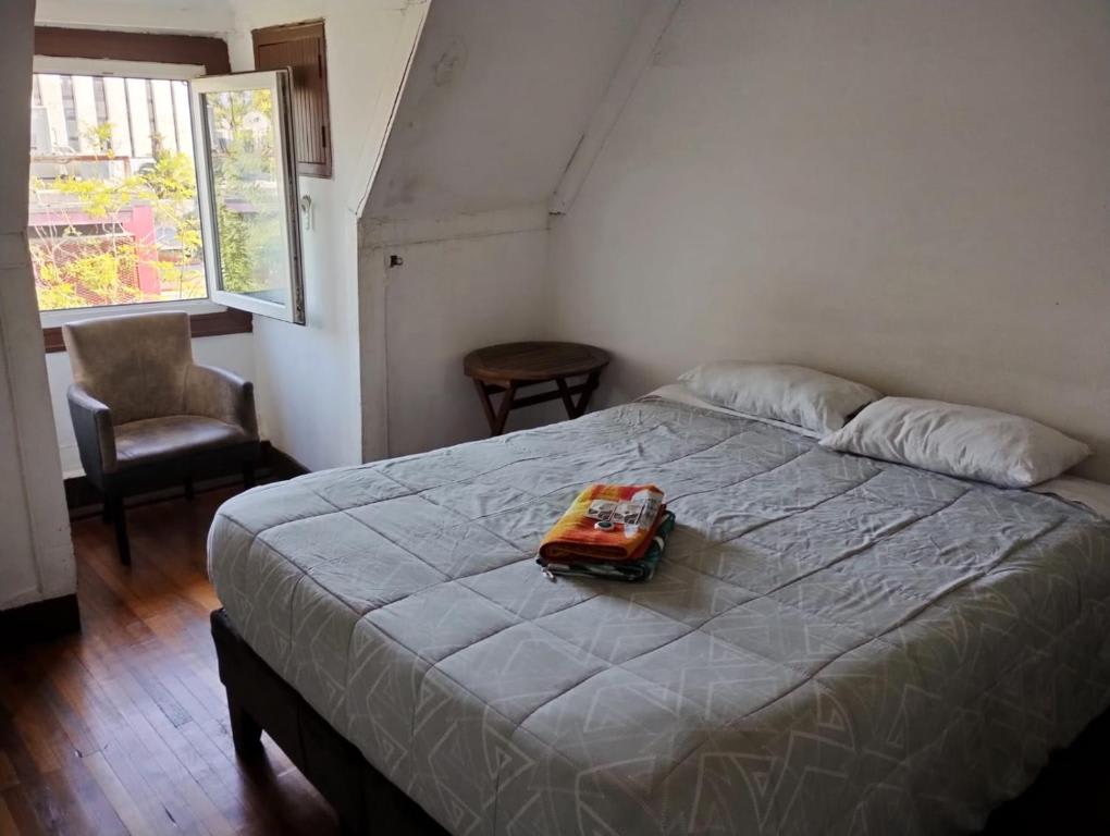 Wild Bellavista Hostel photo 4