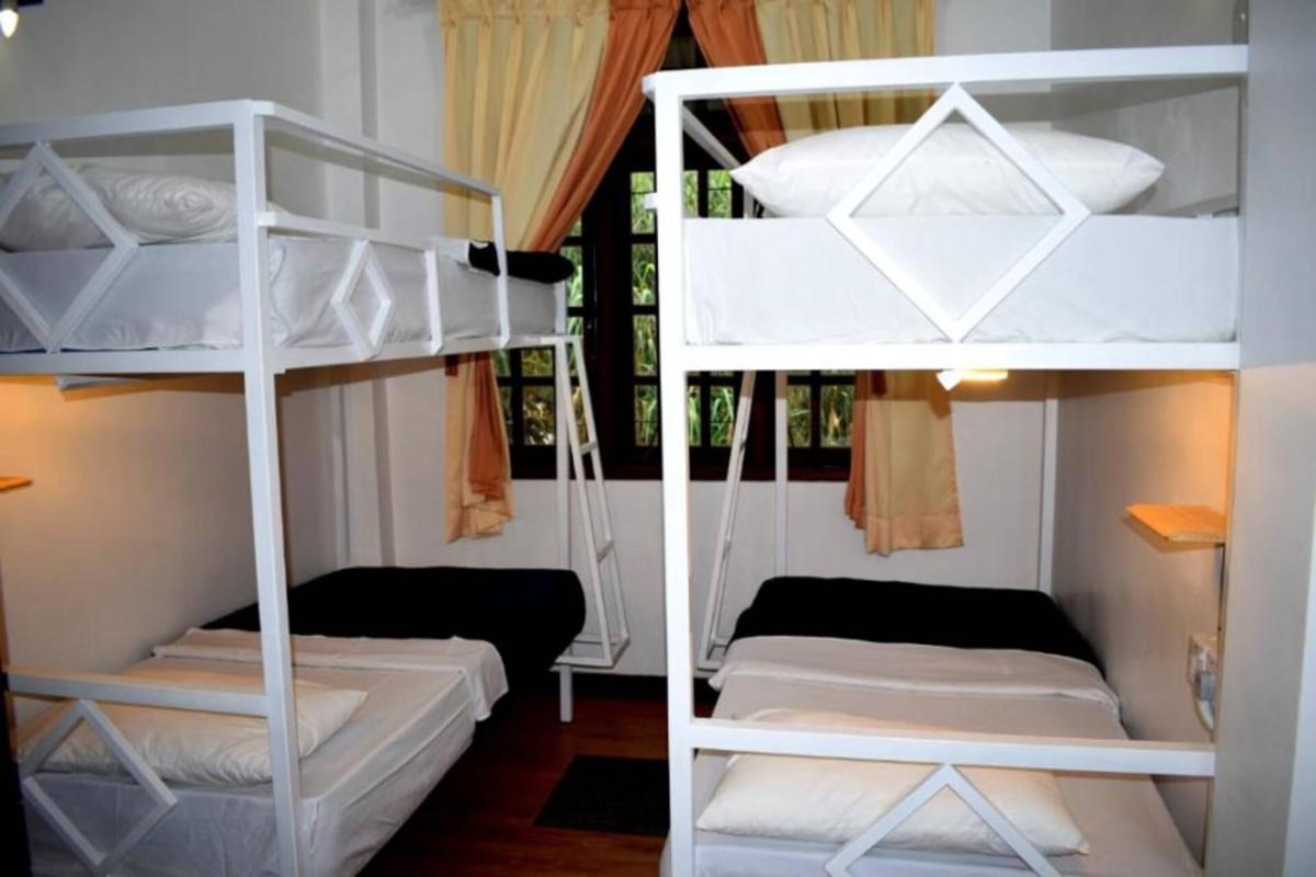 Promax Villa photo 1