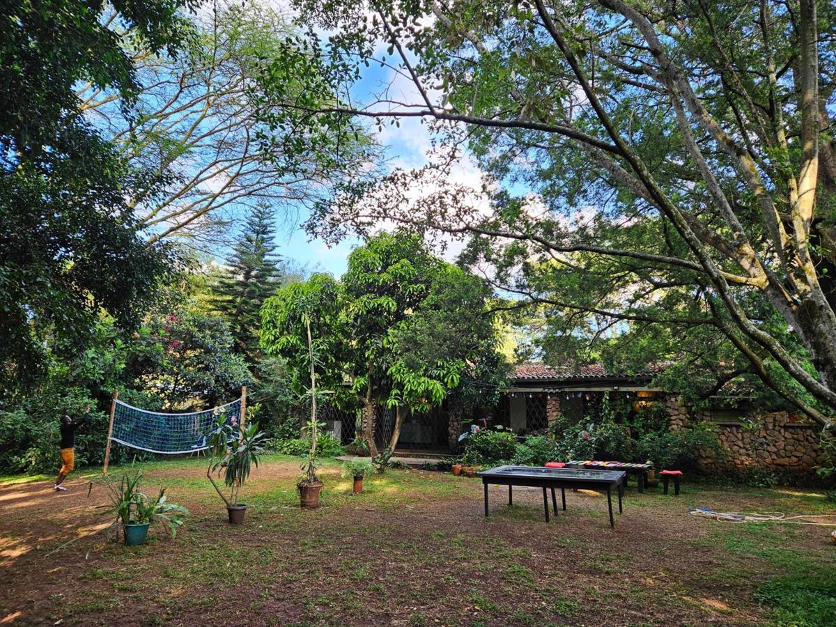 Mad Vervet Nairobi Backpackers Hostel photo 4