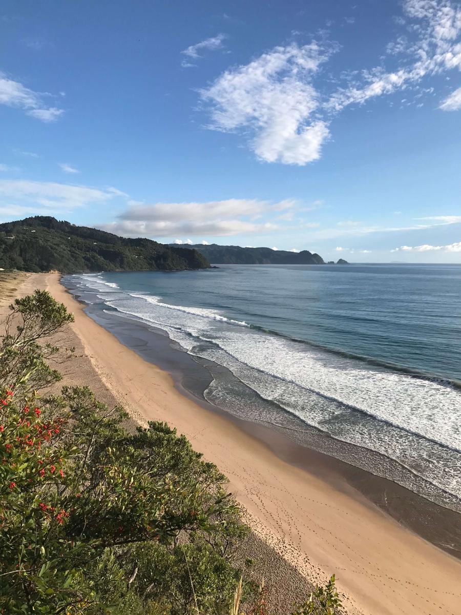 Tairua Beach House photo 1