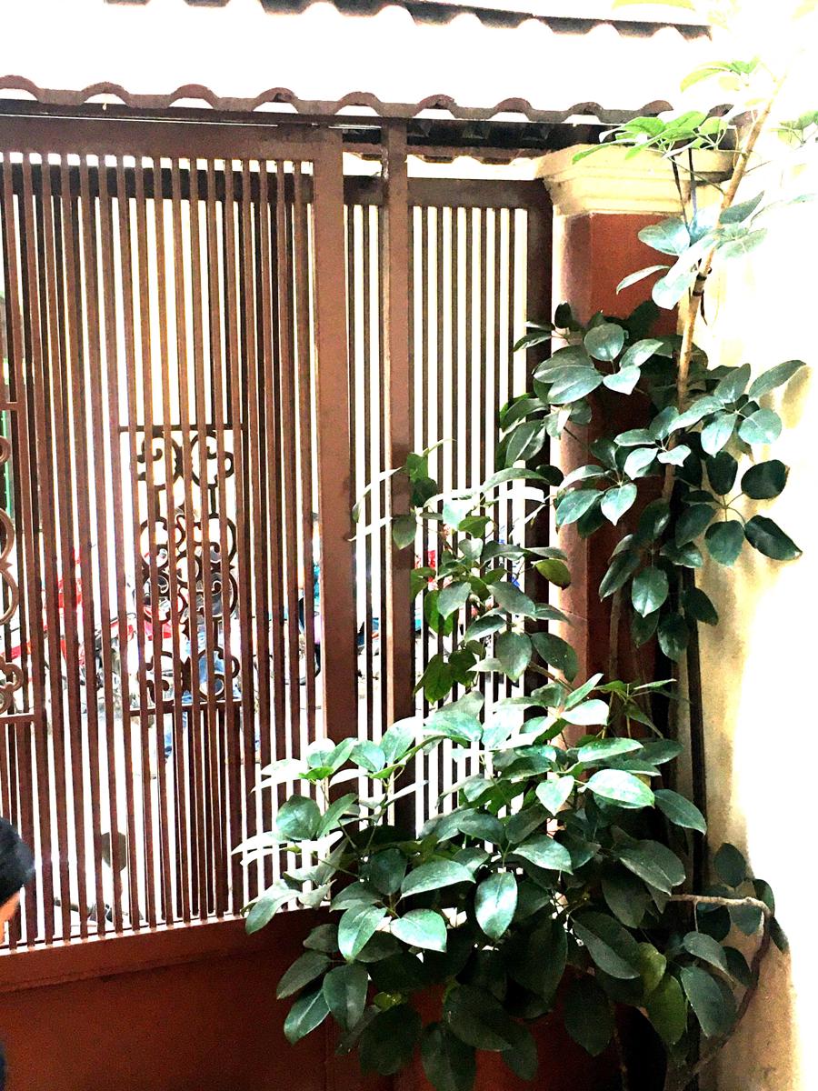 Saigon Cozy House photo 3