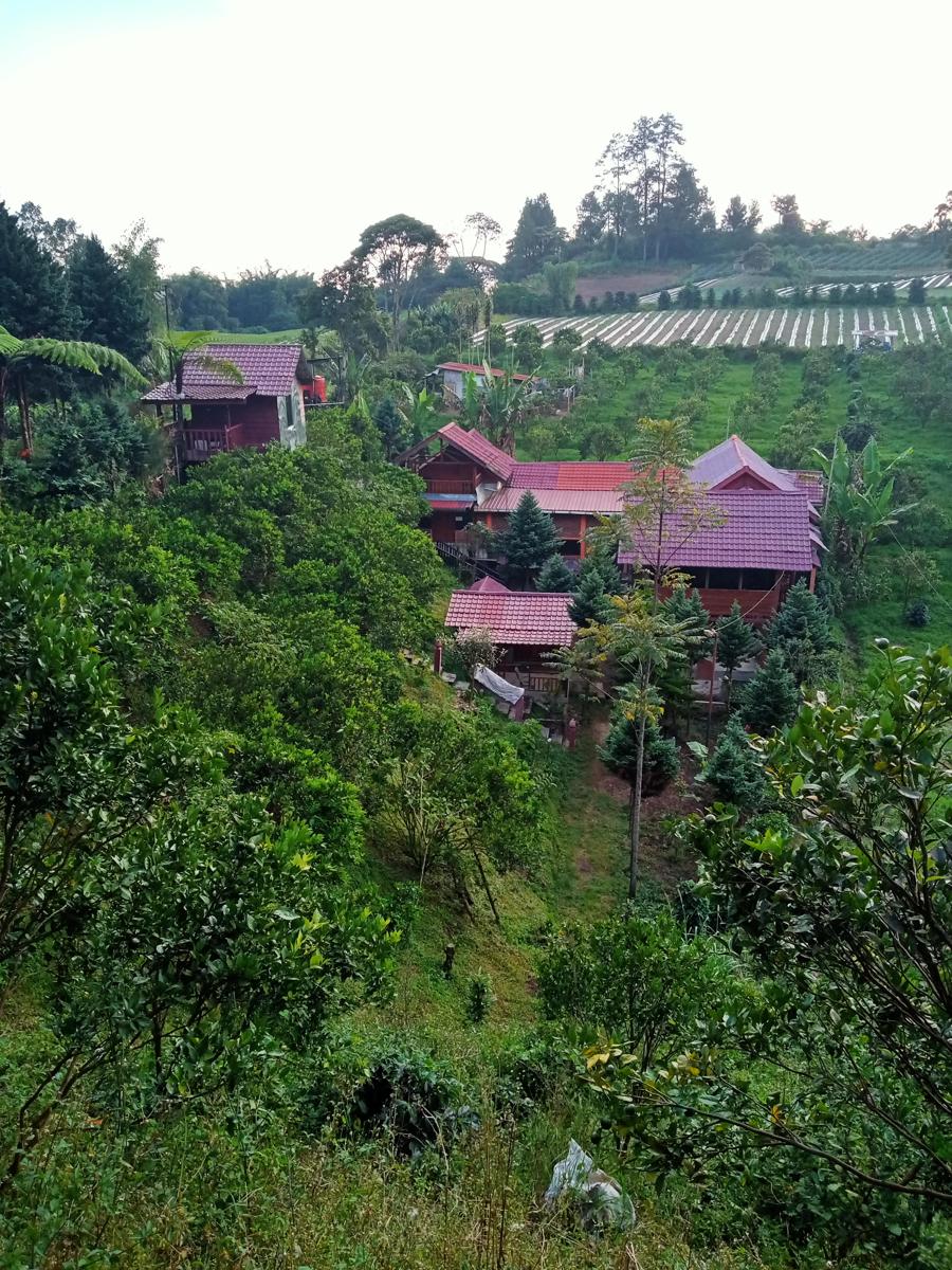 Gintribu Guest House Sibayak photo 2