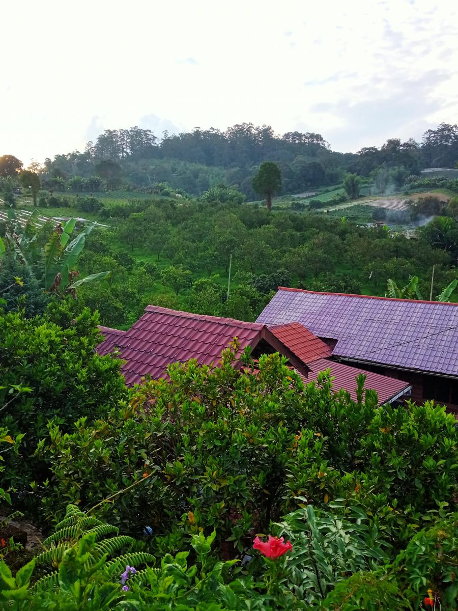 Gintribu Guest House Sibayak photo 4