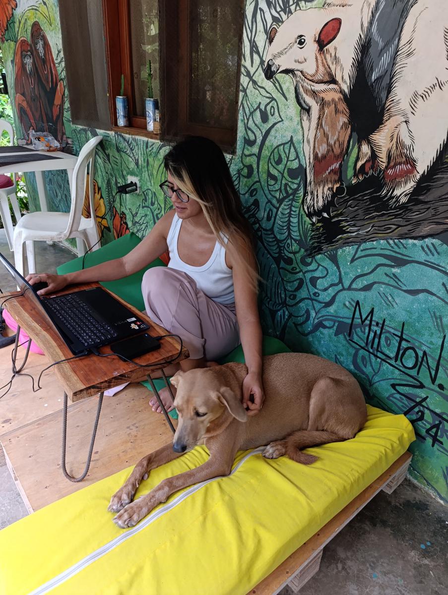 Palomino EcoHouse & Camping photo 4