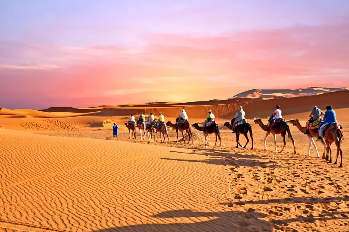 Dar Camel Trek Bivouac photo 1
