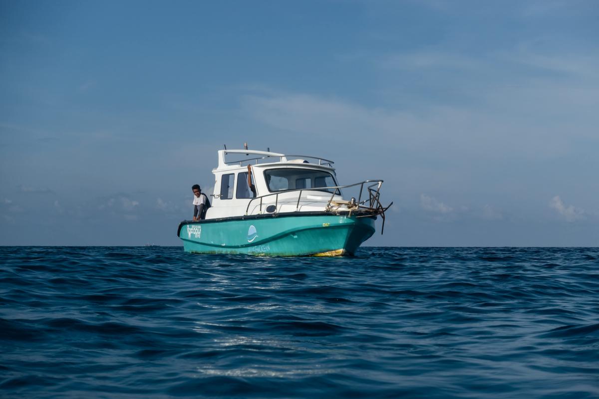 Blue Emocean Resort & Rocotpus Hostel photo 2