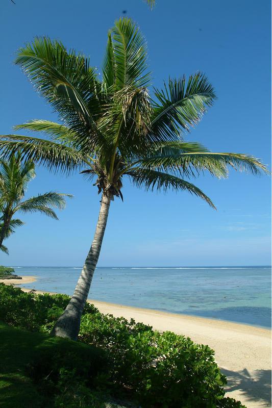 Bedarra Beach Inn photo 4