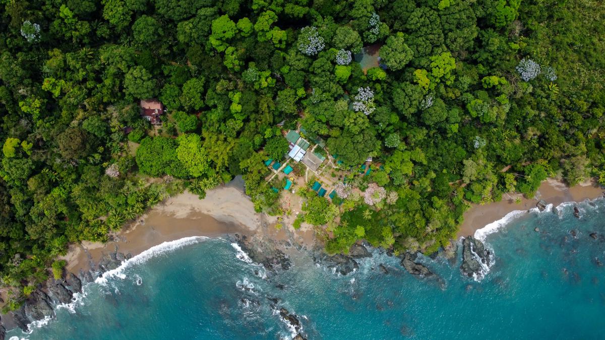 Corcovado Jungle Hostel photo 1