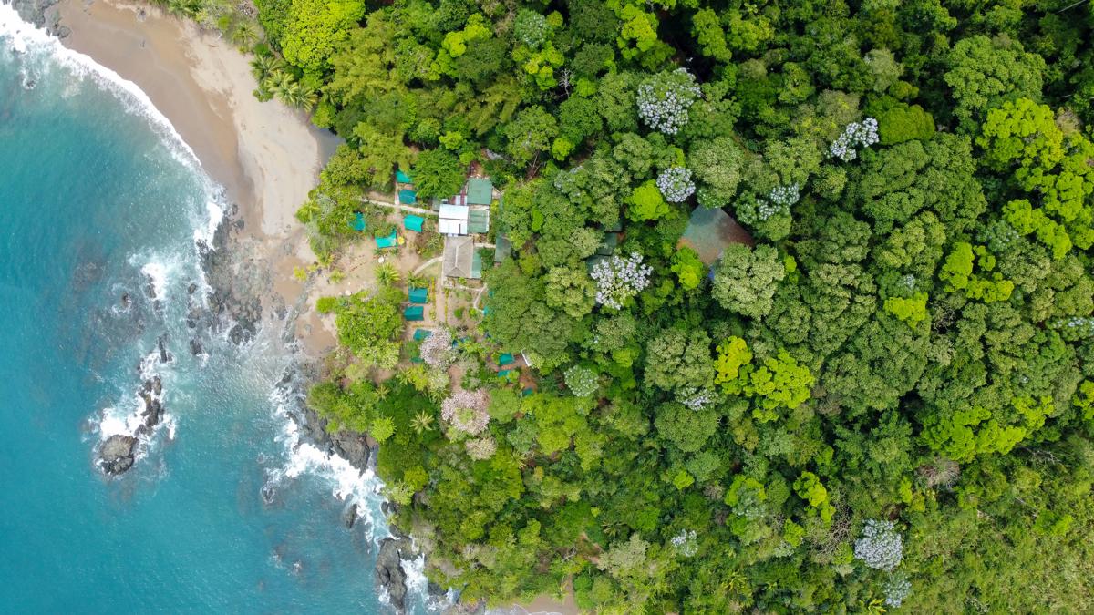 Corcovado Jungle Hostel photo 2