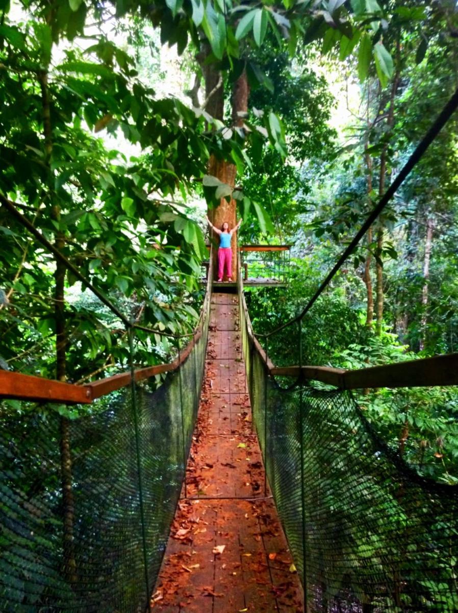 Corcovado Jungle Hostel photo 4