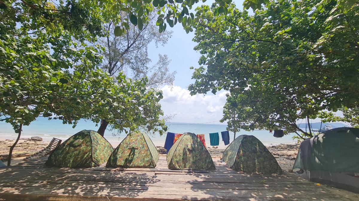 Plankton Hostel photo 3