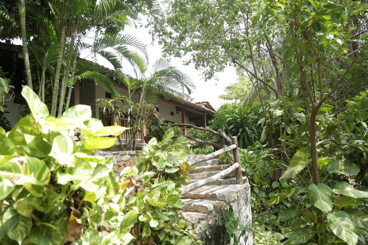 La Buena Vista photo 4
