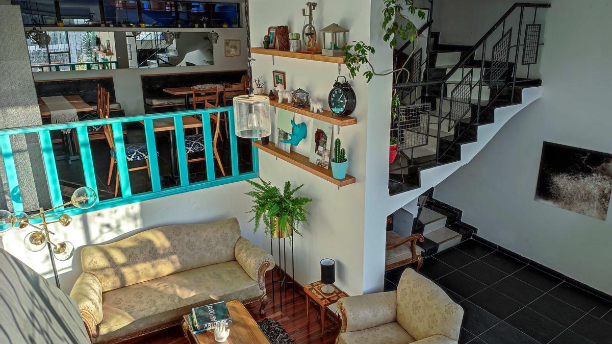 Casa Bogart photo 2