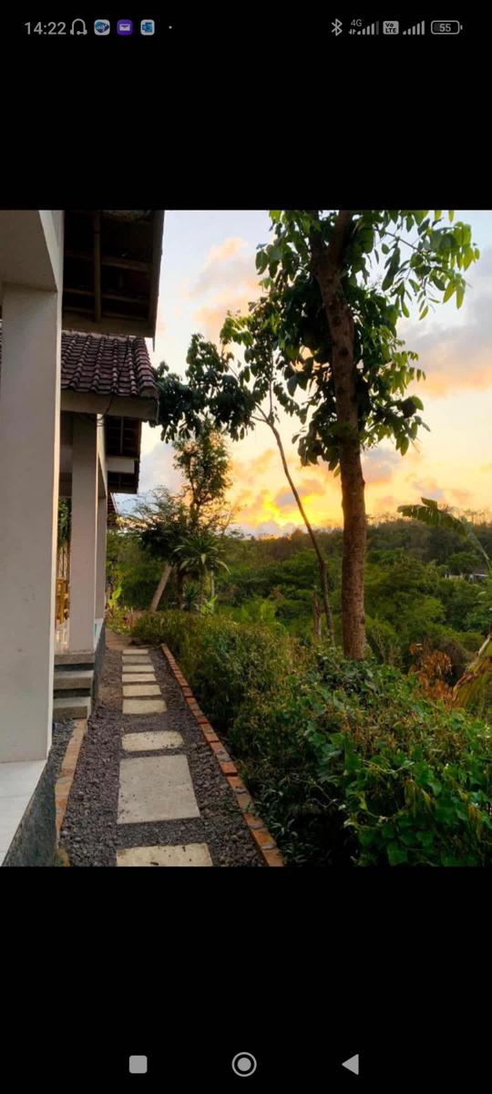 Tommy Homestay photo 4