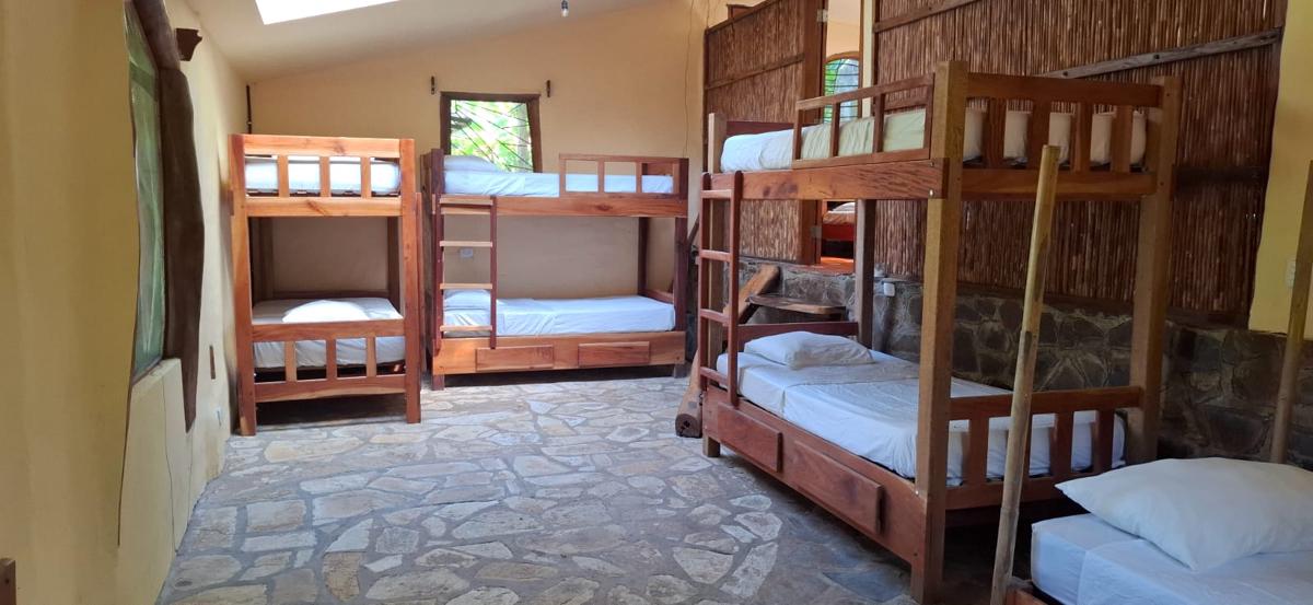 Totoco - Jungle Dorm - mix photo 1