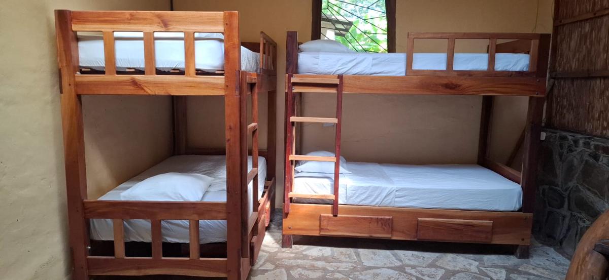 Totoco - Jungle Dorm - mix photo 3