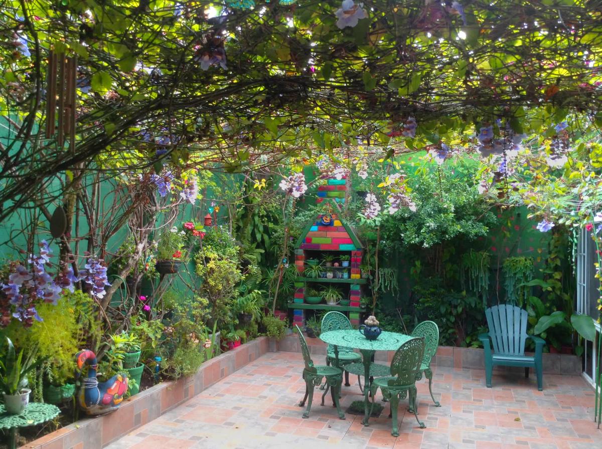 Hotel Oasis photo 3