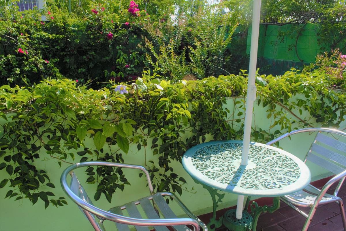 Hotel Oasis photo 4