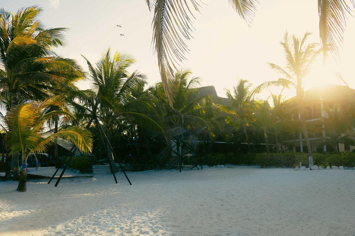 Mia Tulum Tribe photo 2