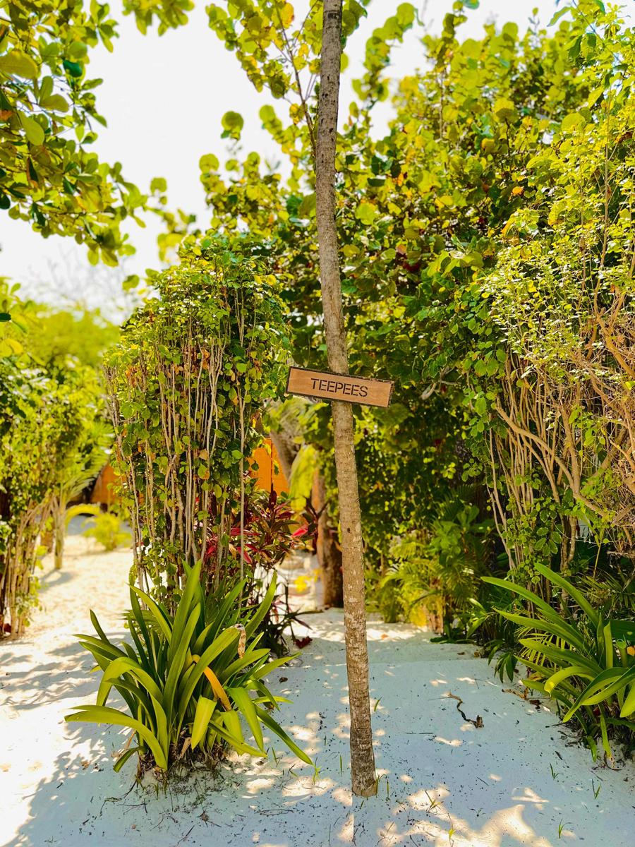 Mia Tulum Tribe photo 3