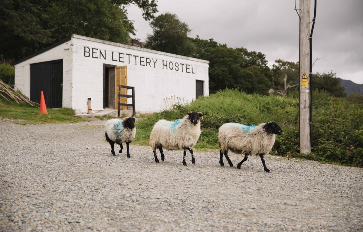 Ben Lettery Connemara Hostel photo 3
