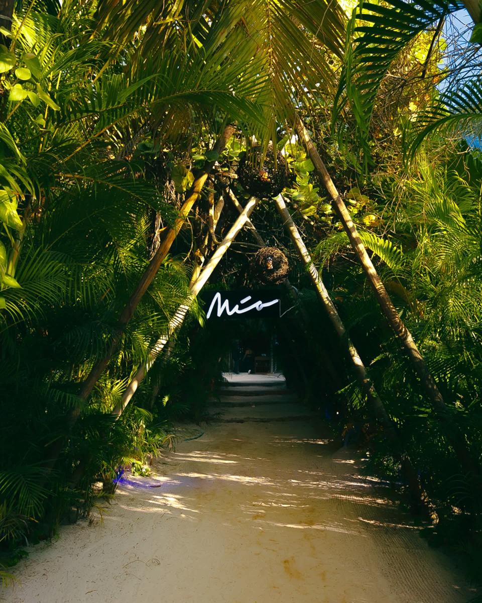 Mia Tulum Tribe photo 4