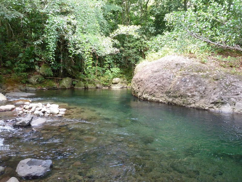 3 Rivers Eco Lodge photo 5