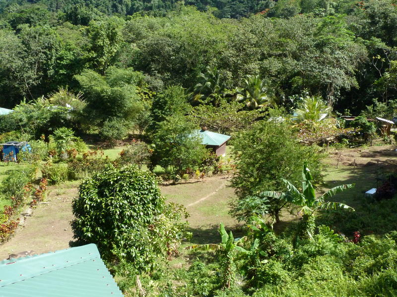 3 Rivers Eco Lodge photo 6
