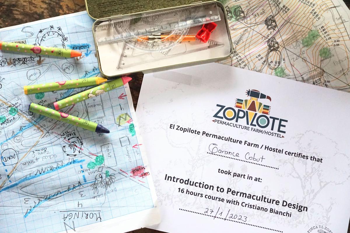 El Zopilote photo 4