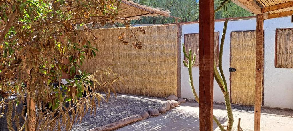 Chill Atacama photo 4