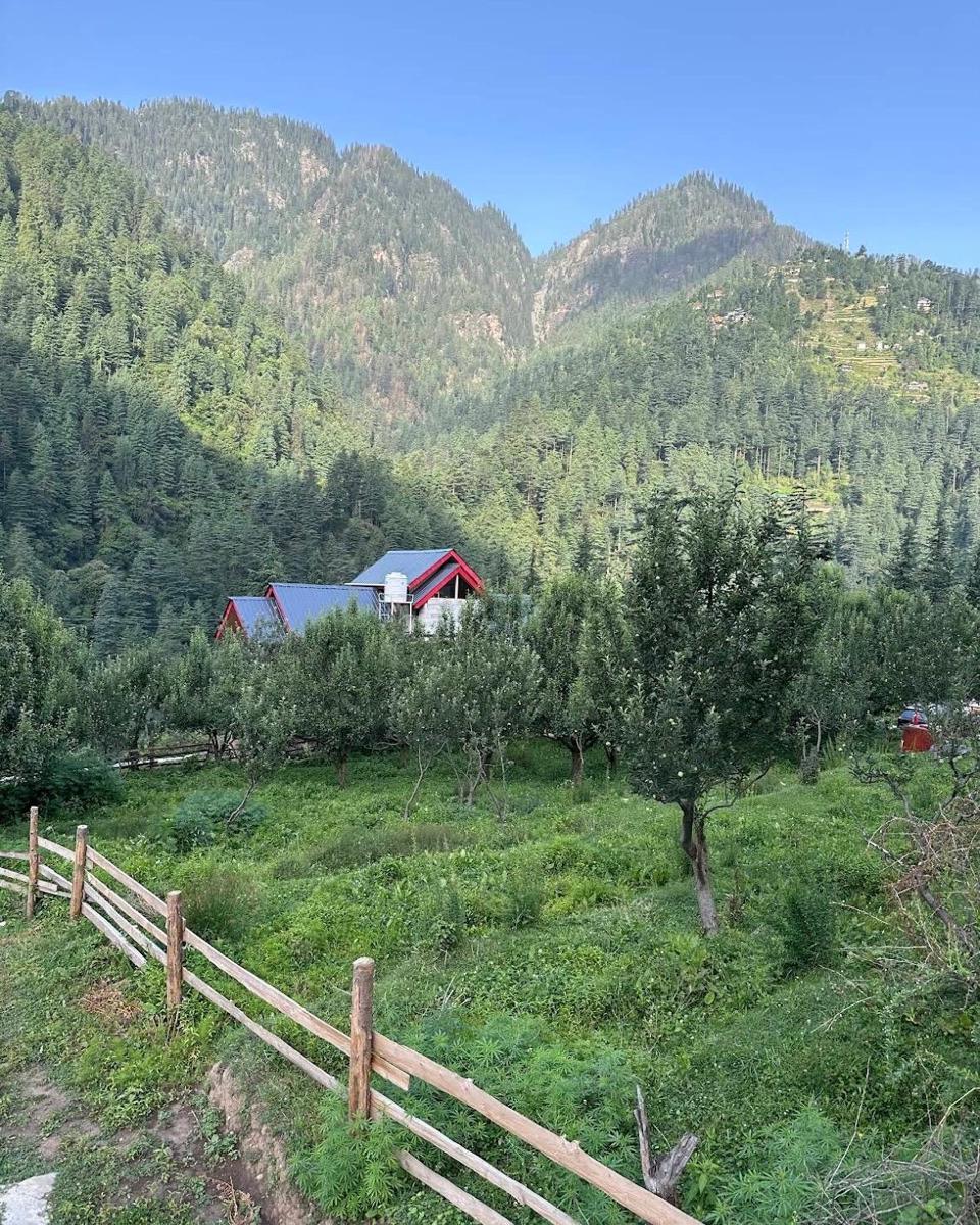 Flamingo Aur Maina Cafe and Stays photo 3