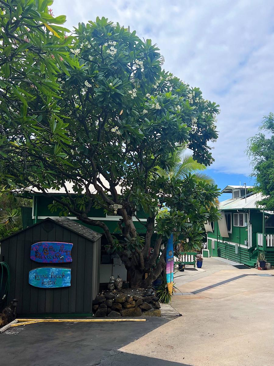 Kona Beach Hostel photo 3