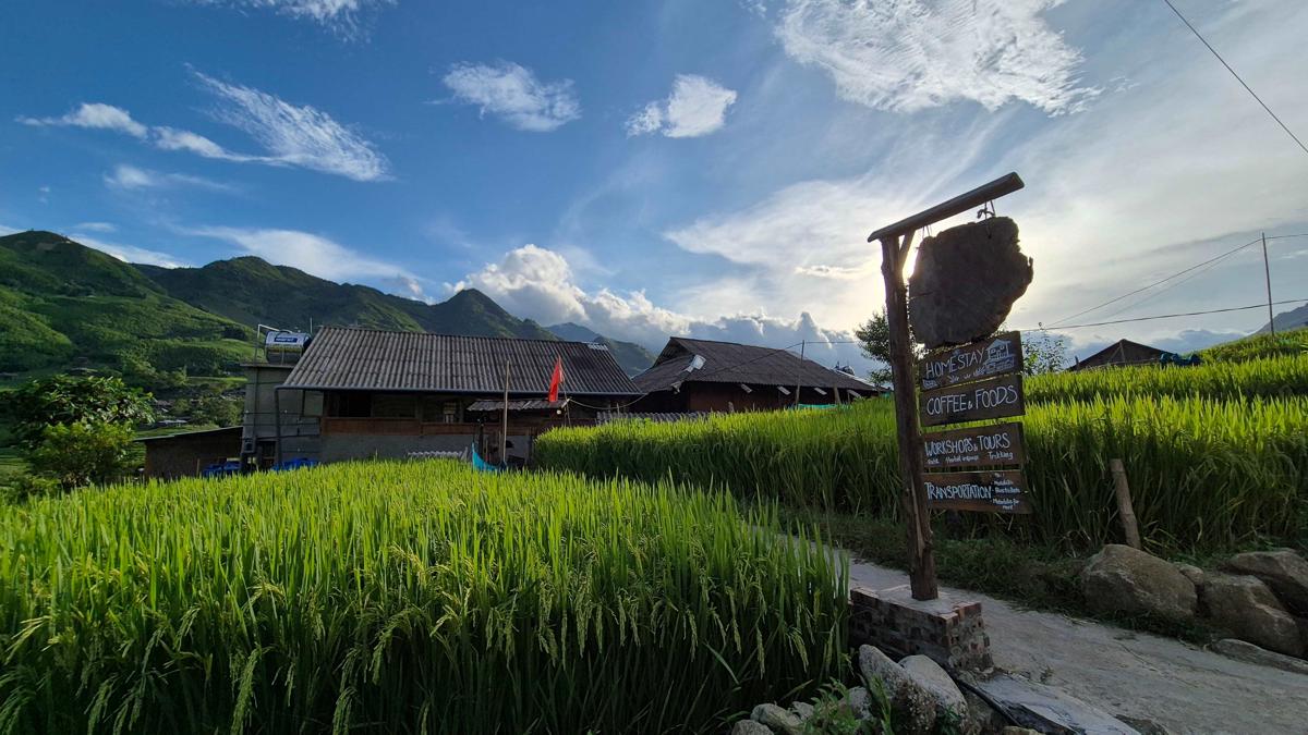 The Zen House Sapa photo 1