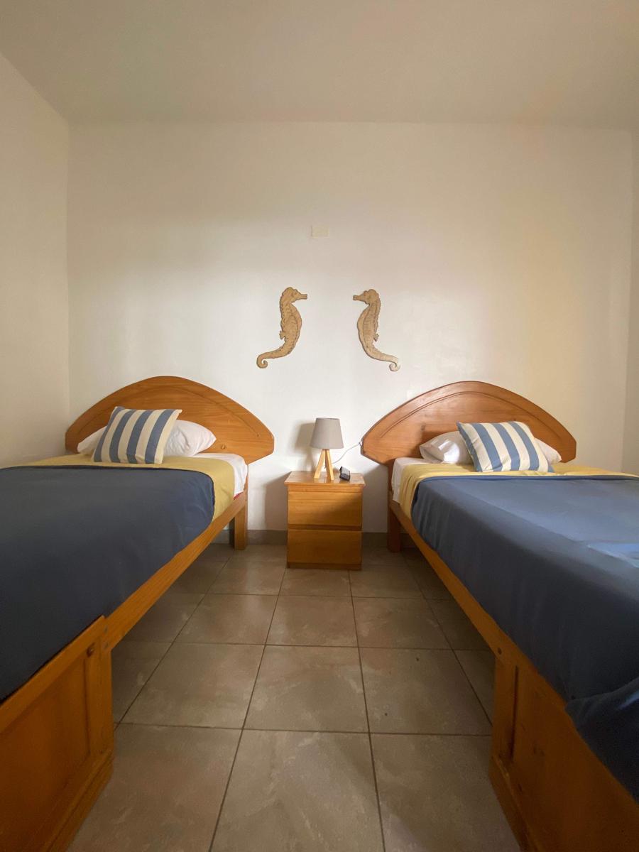 Ravenala Paracas Hostel photo 4