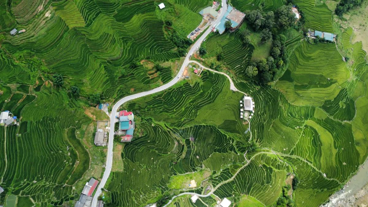 Hoa's Homestay Sapa photo 4