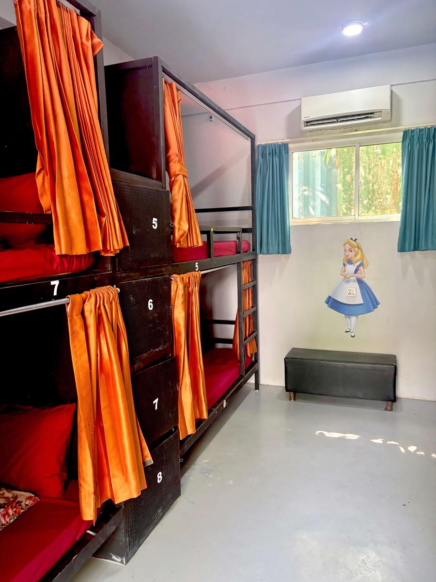 White Rabbit Hostel Siem Reap photo 4