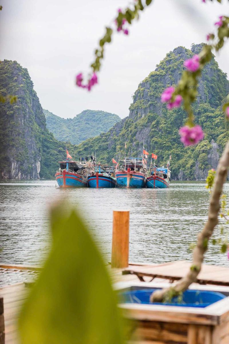 Lan Ha Floating Homestay photo 3