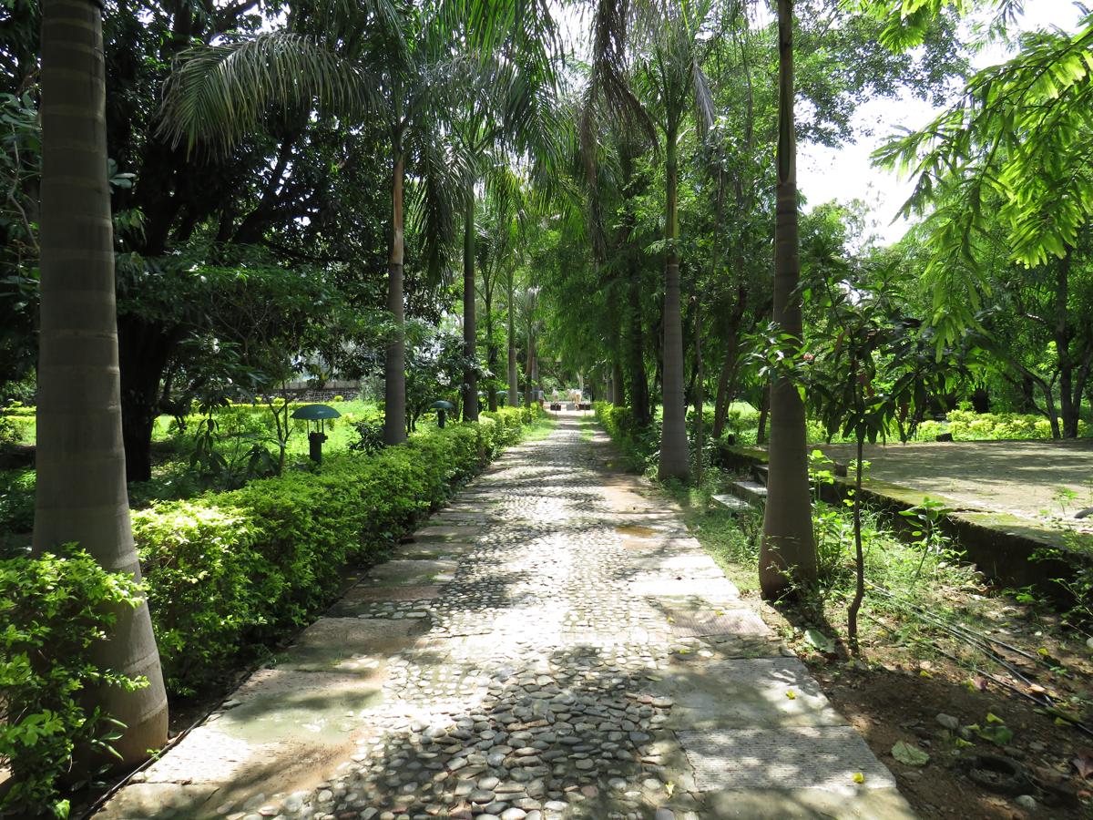 Ranakpur Nature Retreat photo 2