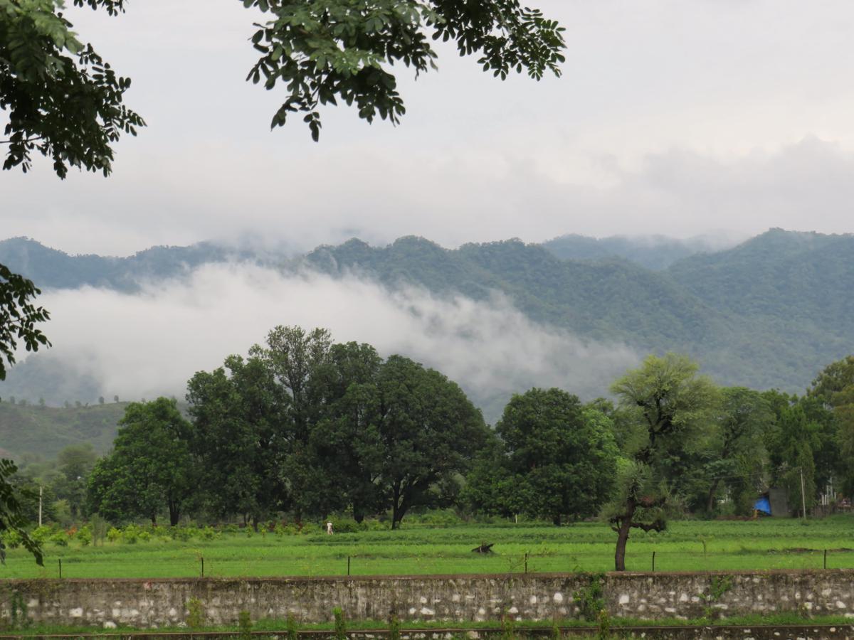 Ranakpur Nature Retreat photo 4