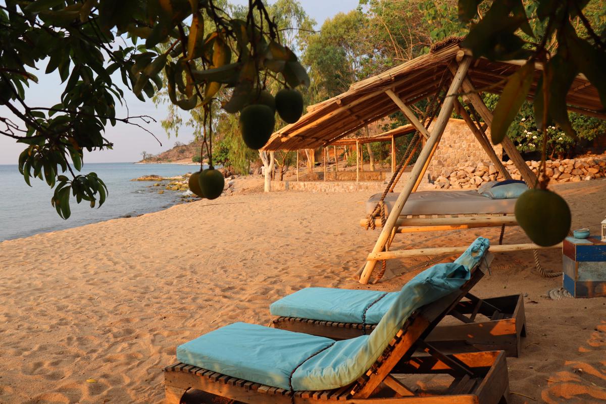Mango Drift Lodge photo 1