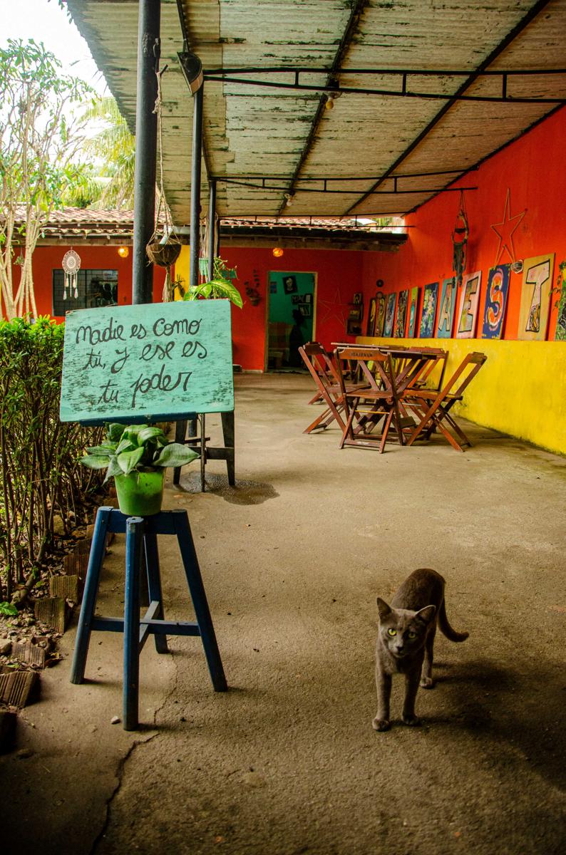 Proxima Estacion Hostel photo 4