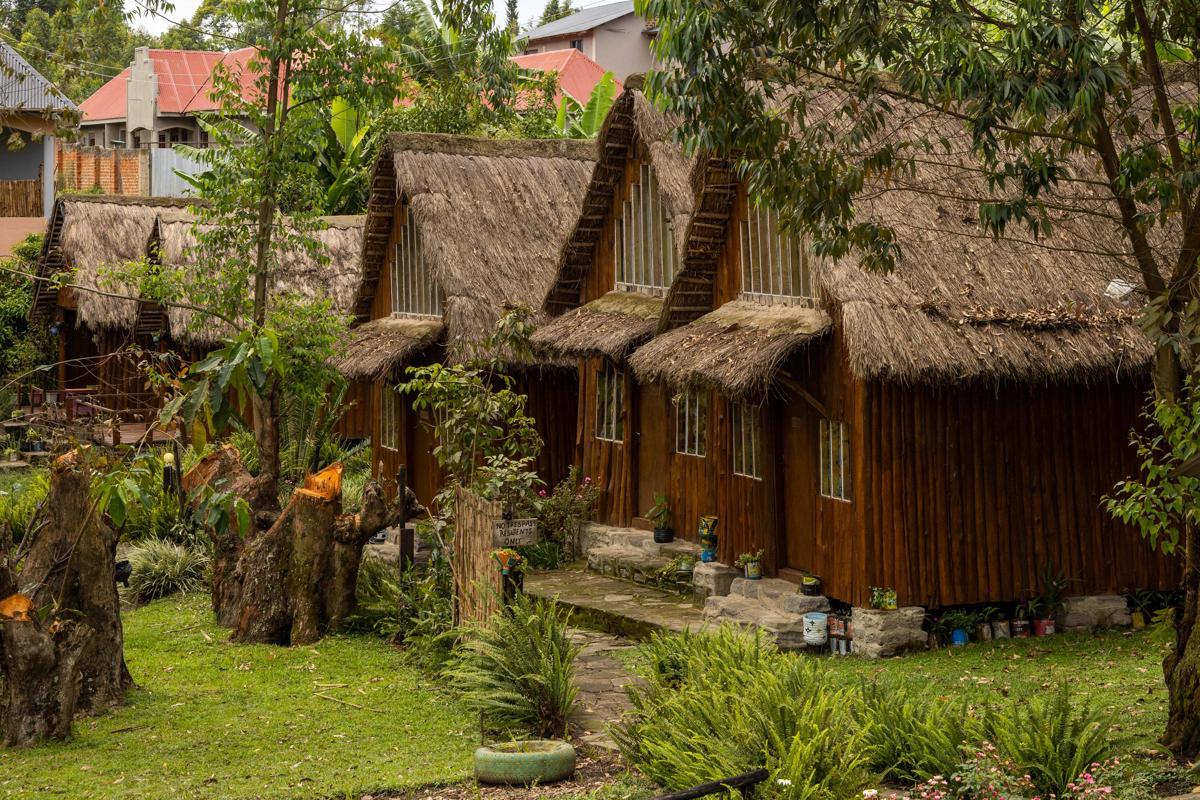 Kalitusi Nature Resort photo 3