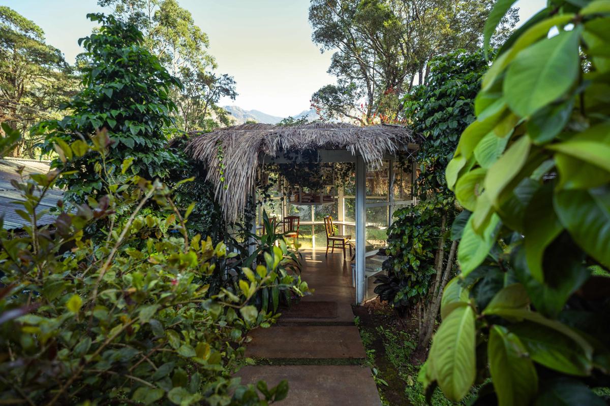Hostyard Plantation Hostel photo 3