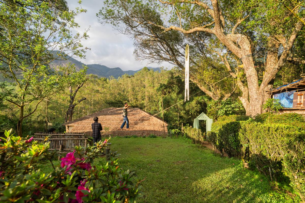 Hostyard Plantation Hostel photo 4