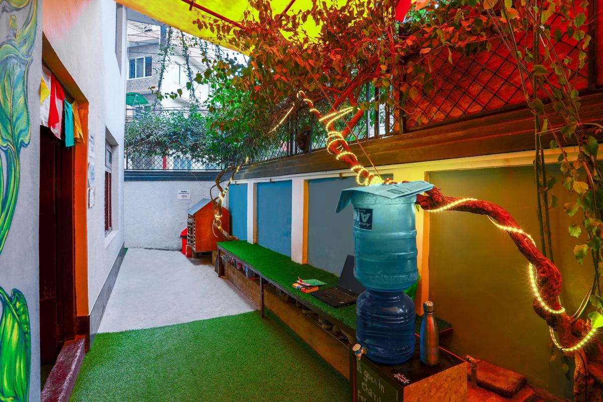 Big Tree Hostel photo 4