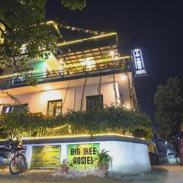 Big Tree Hostel photo 5
