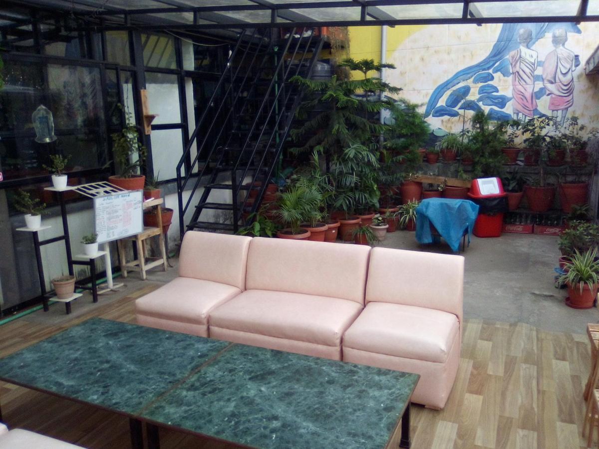 Big Tree Hostel photo 6