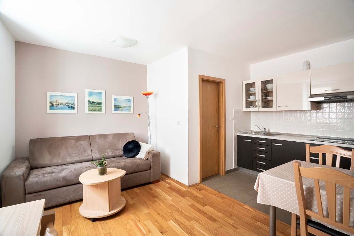 Apartments Medved photo 4